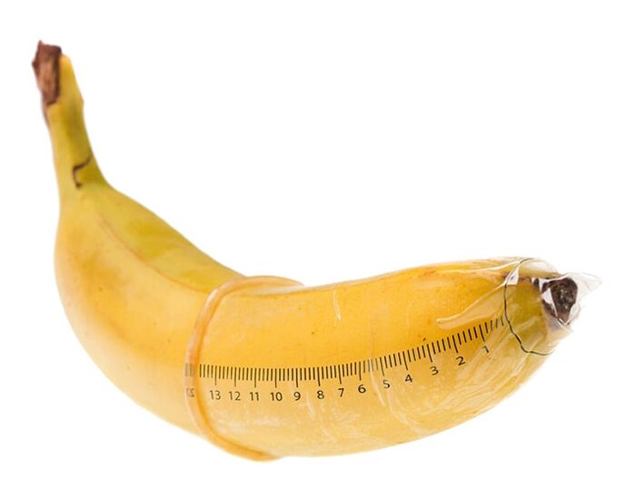 Die optimale Größe eines erigierten Penis beträgt 10-16 cm