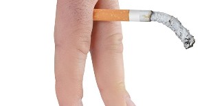 Einfluss des Rauchens auf die Fortpflanzungsorgane